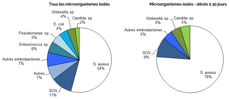 Figure 7 – Répartition des catégories de microorganismes isolés, pour tous les cas (N = 142) et pour les cas décédés à 30 jours (N = 21), Québec, 2017-2018 (%) Figure 7 – Répartition des catégories de microorganismes isolés, pour tous les cas (N = 142) et pour les cas décédés à 30 jours (N = 21), Québec, 2017-2018 (%)