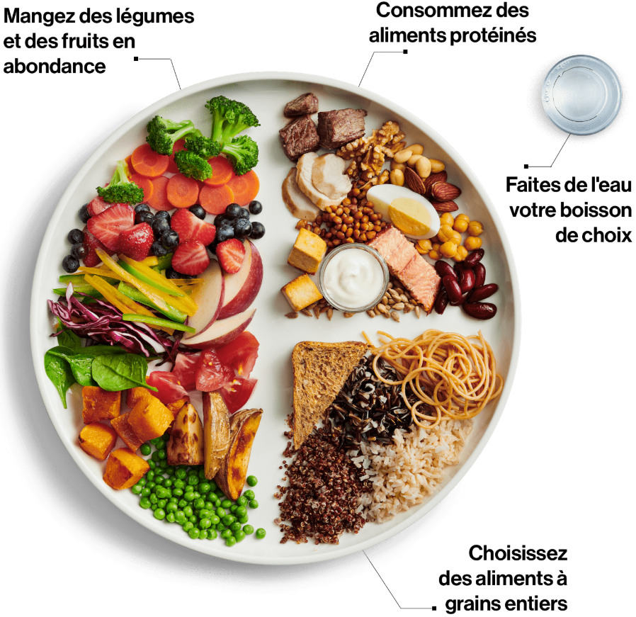 Mangez des légumes et des fruits en abondance, consommez des aliments protéinés, choisissez des aliments à grains entiers, faites de l'eau votre boisson de choix.