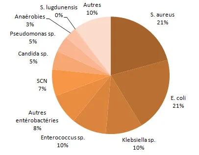 Figure 8 – Répartition des catégories de microorganismes isolés, pour tous les cas (n = 2 923) et pour les cas décédés à 30 jours (N = 495), Québec, 2013-2014 (%)  Tous les microorganismes isolés 
